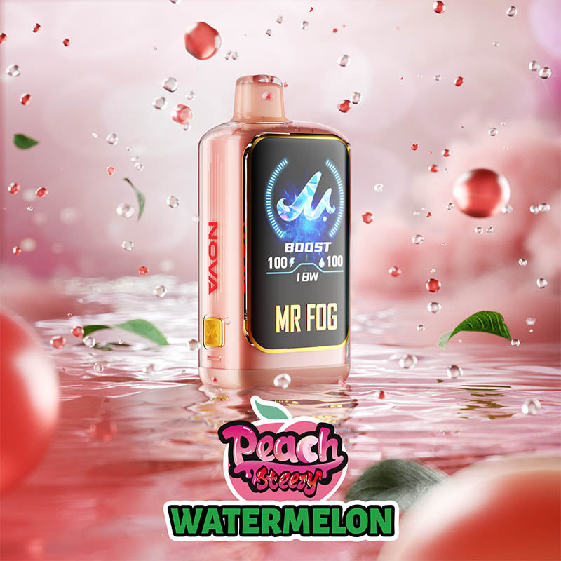 Watermelon MR FOG NOVA Peach Steezy Disposable Vape