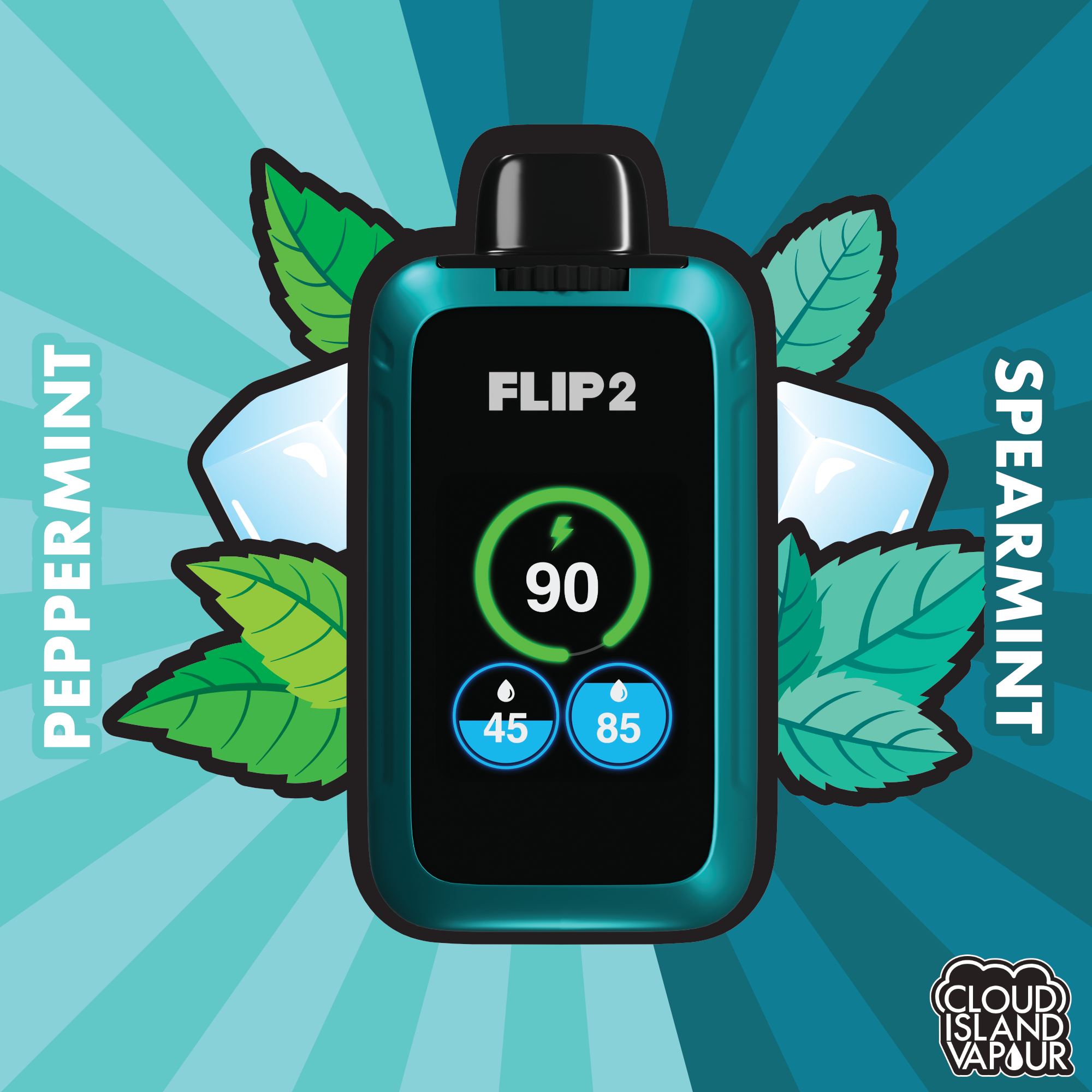 Flip 2 Disposable Vape - Peppermint And Spearmint – Cloud Island Vapour