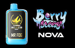 MR FOG NOVA Berry Steezy Icon