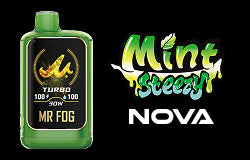 MR FOG NOVA Mint Steezy Icon