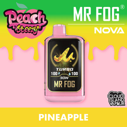 MR FOG NOVA Peach Steezy Pineapple