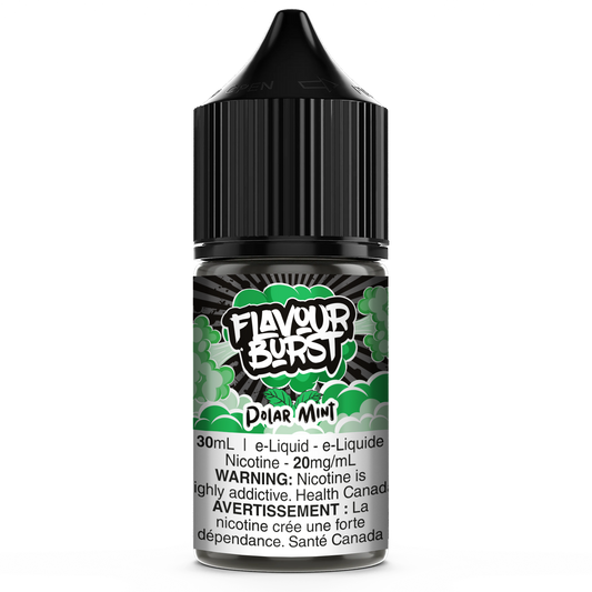 Flavour Burst Salt Nic E-Liquid Polar Mint